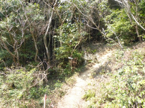 画像39