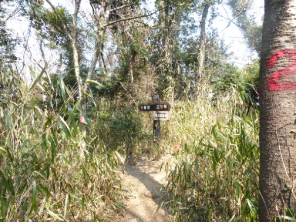 迷子尾根の頭