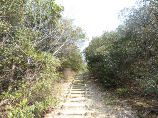 画像48