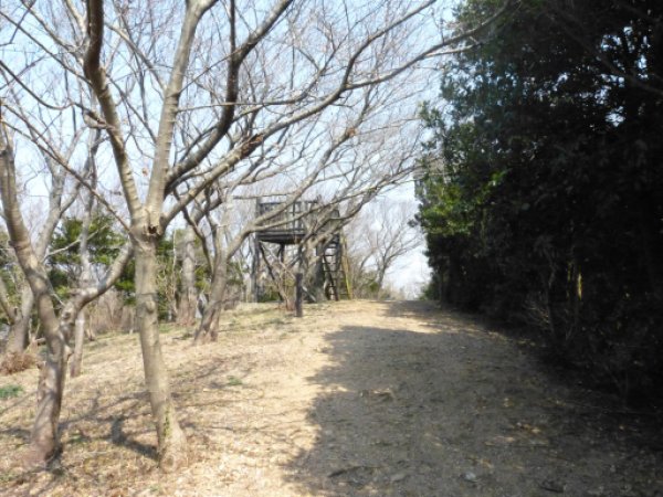 画像50