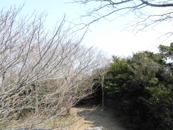 画像52