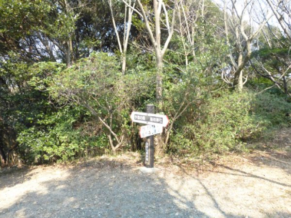 画像56