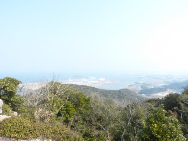 画像9