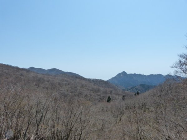 画像40