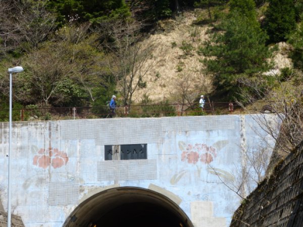武平トンネル