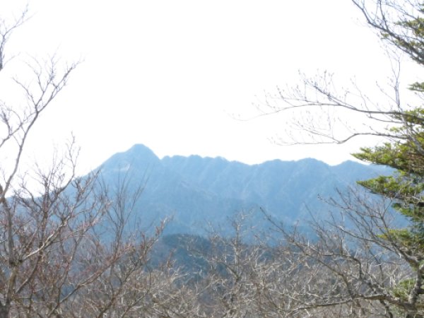 画像20