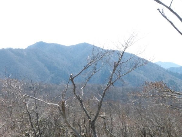 画像19