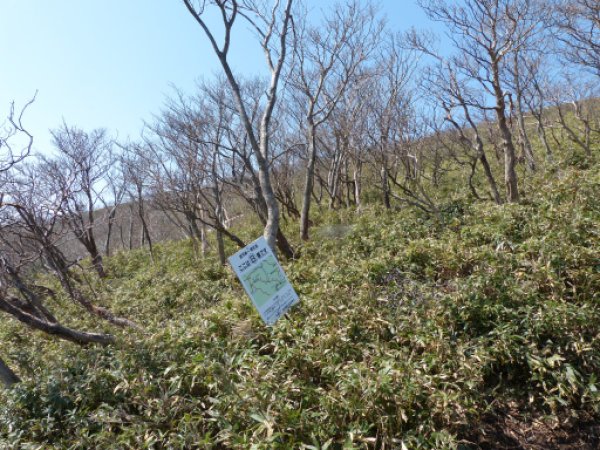 画像22