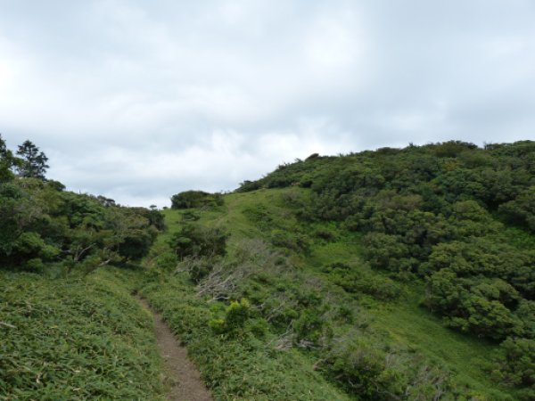 北の頭
