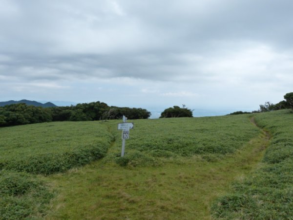 画像20