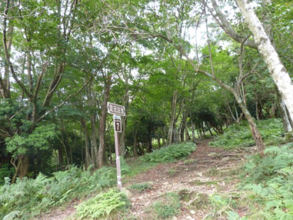 画像22