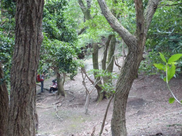画像26
