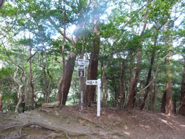 画像27