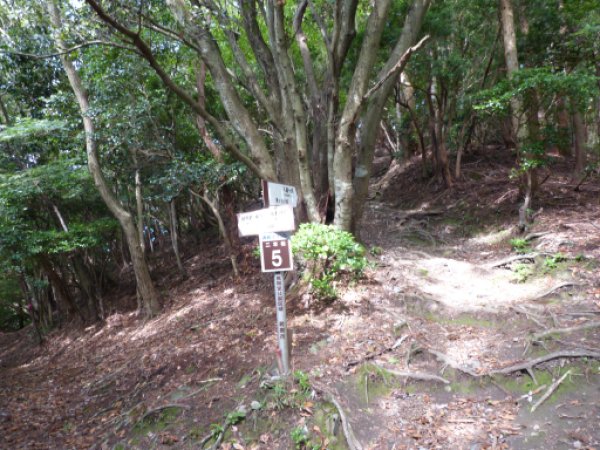 画像7