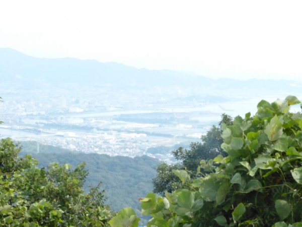 画像17