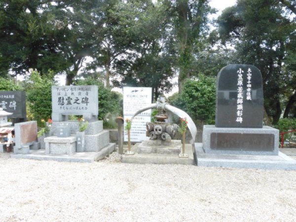 画像24