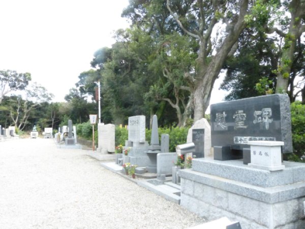 画像25