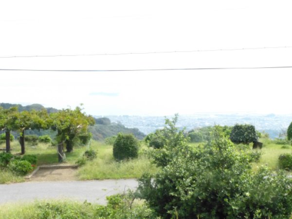 画像27