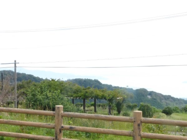 画像29