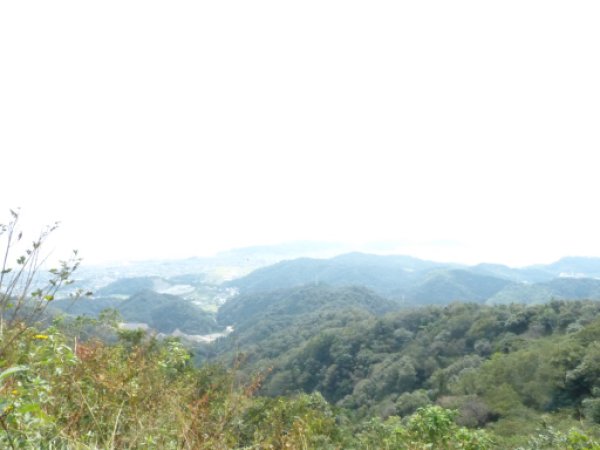 画像30
