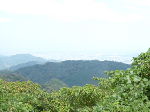画像32