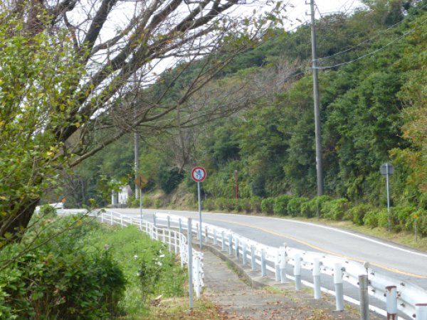 画像35