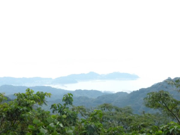 画像34