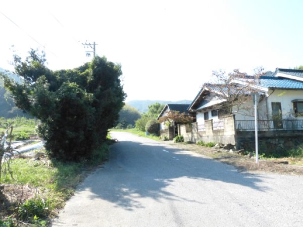 画像4