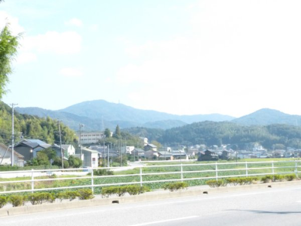 画像8