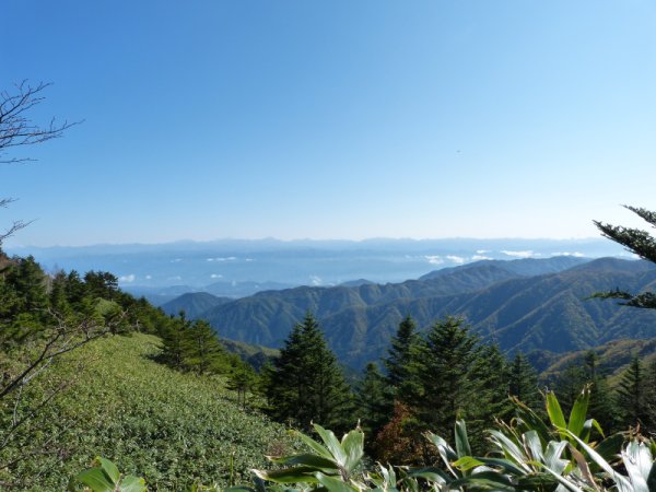 画像18