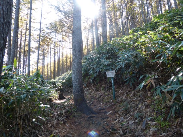 画像14