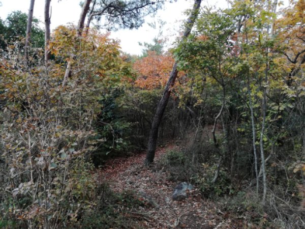 多賀坂山