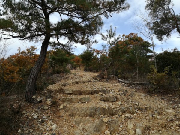 多賀坂峠