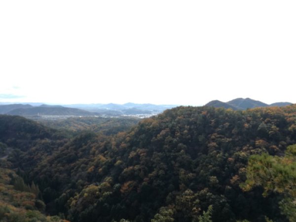 画像30