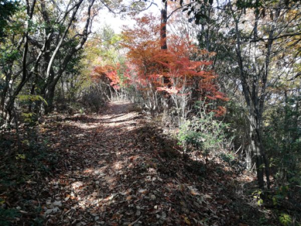 画像33