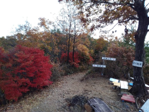 大岩見晴台 