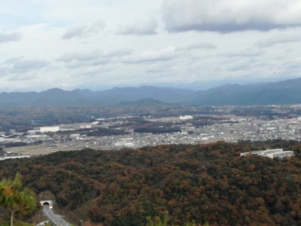 猿啄城