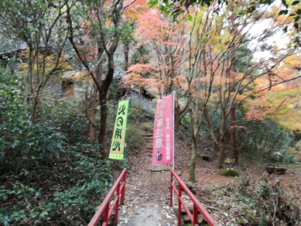 画像49