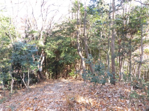 画像8