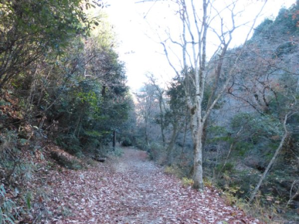 画像11