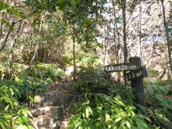 画像13