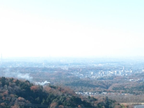 岩巣山展望台