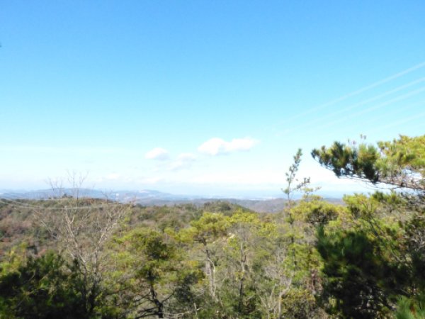 元岩巣