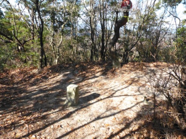 岩巣山