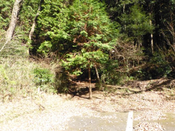 岩屋堂公園駐車場
