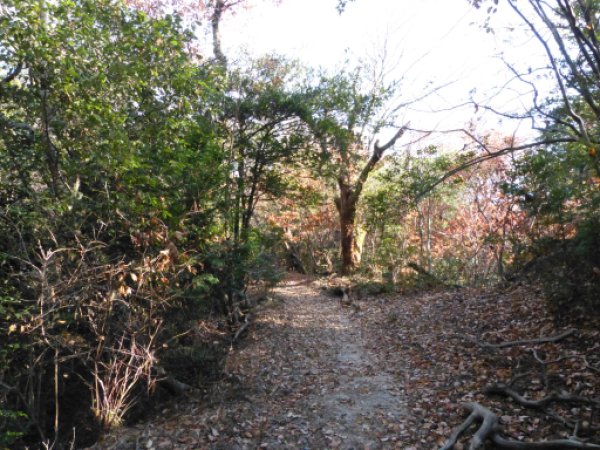 画像39