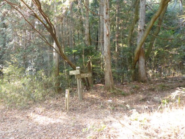 ねむの森