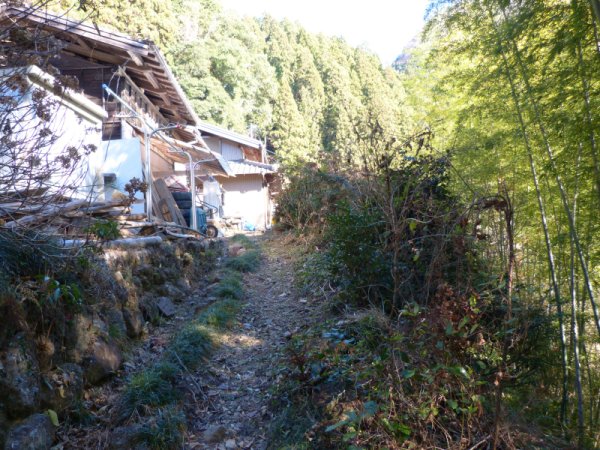 画像35