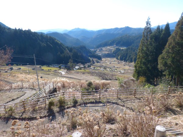 四谷千枚田展望台