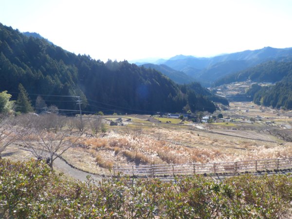 四谷千枚田展望台